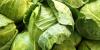 Taylor Farms recalls iceberg lettuce linked to ‘explosive diarrhea’ outbreak as cases near 7,000