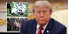 Donald Trump ‘reexamining’ Falklands position after backing Argentinian World Cup banner, Republican commentator says