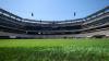 World Cup final stadium’s pitch could prove to be major problem in biggest moment