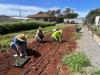 Moloka‘i growers feeding the island in wake of missed barges, plant shipping restrictions