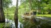 What are the best swamp tours in Louisiana? Why these are the top 5