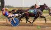 Miami harness racing season opens with top field of horses this weekend