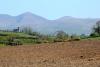 Dutch nitrogen plans show why farmers must stay engaged