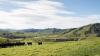 East Coast Māori farming collective makes its voice heard