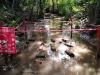 Floods May Expose Landmines and UXOs in Parts of Cambodia, CMAA Says