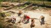 Not a housekeeper, but a 'vilica': The many responsibilities of Roman-era female farm managers were overlooked by historians