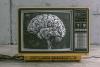 Heavy TV Watching Systematically Shrinks Your Brain