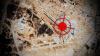 Two U.S. Troops Killed In Iranian Barrage On Base In Jordan (Updated)