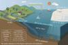 Microplastics Pose A Huge Threat To Arctic Climate Feedback Loops