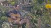 In The Key of C: Hear Bahamas, Divka, Steven Page and Tom Green, Fuses and more