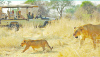 Tanzania’s largest wilderness and premier safari destination