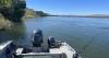 Nature Notes: A look back on the sockeye salmon season that wasn’t