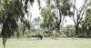 New Optus and TPG tower proposed for Burns Club golf course