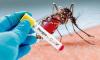 Health officials report 242 fresh cases of dengue inflection, one death overnight