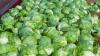 Massachusetts included in Iceberg lettuce recall tied to Cyclospora outbreak