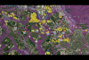 Environmental groups launch warehouse tracking tool for the Savannah area