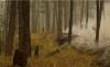 Canada reports 796 active wildfires as federal government boosts preparedness funding