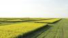 MOU to support future of Indian Head and Scott Research Farms welcomed