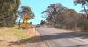Trial of roadside virtual fence tech to reduce vehicle collisions with wildlife