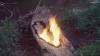 The Burning, Bleeding, Breathing Art of Ana Mendieta