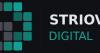 Contractor & Medical Marketing Firm Launches U.S. Web Services
