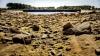 Europe's Heatwave Is Becoming an Energy Crisis