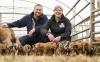 'The Oxford Sandy and Black is a fantastic pig' – Farmers highlight breed's attributes after Clarkson's Farm criticism