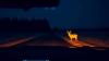 Researchers trained an AI system on 12,000 images of a single common animal, and the fact about why that creature keeps defeating every car safety sensor designed to see it at night