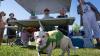 Santa Clara Community Park celebrates opening with pet parade