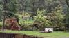 Photos | Storm damage strewn across Baltimore metro Saturday