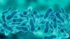 First death reported as NYC Legionnaires' disease outbreak grows