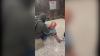 Today’s News Headlines: US immigration authorities detain Australian man
