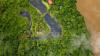 The Costa Rican Hotel Transforming Tree Canopies into Luxury Sustainable Lodging