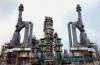 Business : Petroleum Reserve Should Be Part Of A Broader Economic Security Strategy -- Economist