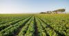 Backing the ranchers that put food on our tables