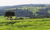 The White Highlands Are Still White: How Britain Never Gave Kenya Its Land Back