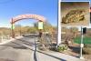 Rare toad returns to Las Vegas spring for first time in almost 65 years — and he’s looking for love