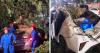 Motorist dies after tree falls on car near Singapore embassy