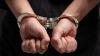 Indonesia Arrests Suspected Financier Behind Illegal Logging in Kalimantan