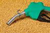 Indonesia eyes $10.8bn savings as B50 biodiesel expands