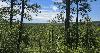 Backbone Trail Sounds Intimidating, But It’s One of the Best Hikes in Louisiana