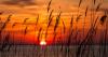 Everyone Always Goes to Assateague Island National Seashore in Maryland: Go Here Instead