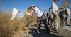 Local citizen-scientists aid researchers in study of tamarisk beetle