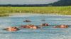 The varied delights of a safari in Malawi