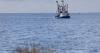 Editorial: The Gulf is getting warmer. Now is the time to invest in research and solutions.