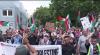 Pro-Palestine demonstration held In Frankfurt