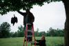 In rural southern Illinois, a cattle farmer fights back against an emerging threat from above