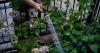 Why does Ireland need a hosepipe ban? The leaky pipes behind our water issues