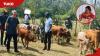 German man walks cow for first time to pay dowry for Kenyan lover in beautiful ceremony