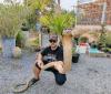 The Cypriot snake charmer: I know their body language